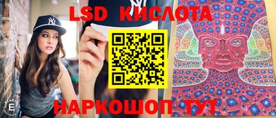 mdpv Кимры